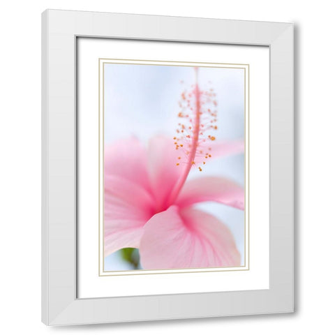 Invitation Into the Light White Modern Wood Framed Art Print with Double Matting by Jenny Rainbow Fine Art