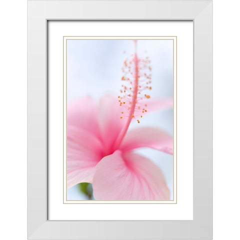 Invitation Into the Light White Modern Wood Framed Art Print with Double Matting by Jenny Rainbow Fine Art