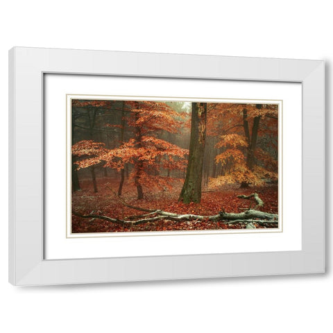 Magic of Fall Woods White Modern Wood Framed Art Print with Double Matting by Jenny Rainbow Fine Art