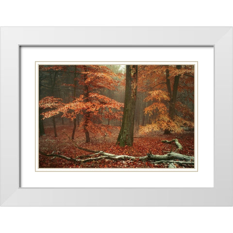 Magic of Fall Woods White Modern Wood Framed Art Print with Double Matting by Jenny Rainbow Fine Art