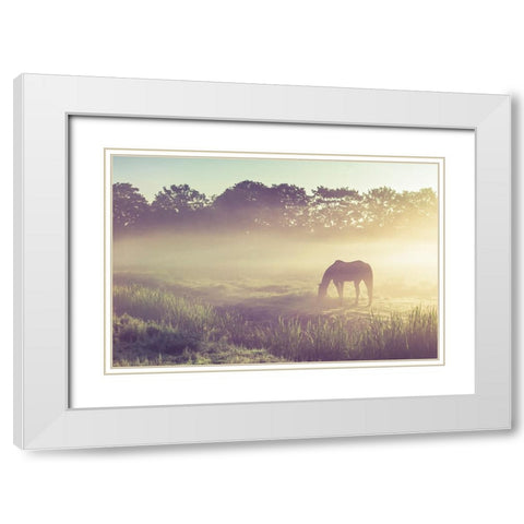 Misty Morning on the Dutch Field White Modern Wood Framed Art Print with Double Matting by Jenny Rainbow Fine Art