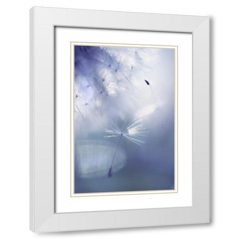Mr Dandelion Light Flight White Modern Wood Framed Art Print with Double Matting by Jenny Rainbow Fine Art
