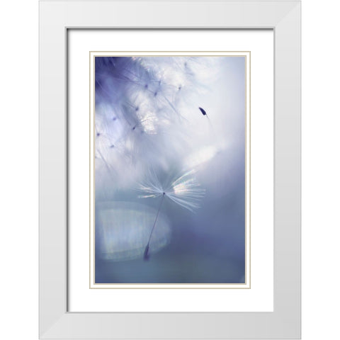 Mr Dandelion Light Flight White Modern Wood Framed Art Print with Double Matting by Jenny Rainbow Fine Art