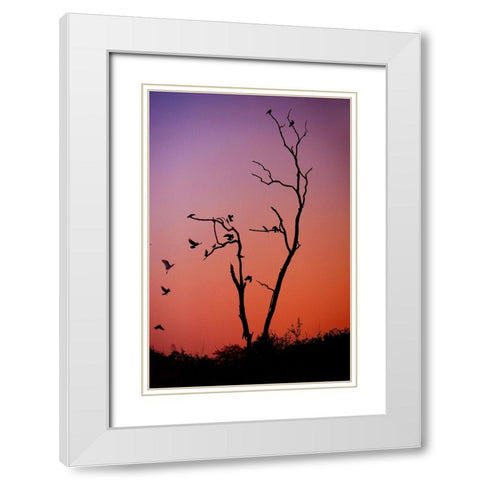 Mysterious Sunset White Modern Wood Framed Art Print with Double Matting by Jenny Rainbow Fine Art