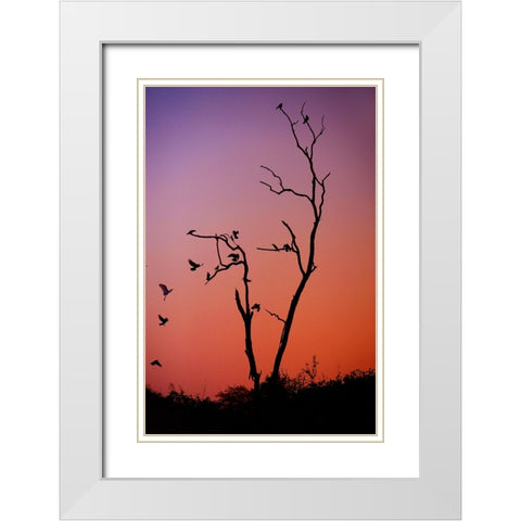Mysterious Sunset White Modern Wood Framed Art Print with Double Matting by Jenny Rainbow Fine Art