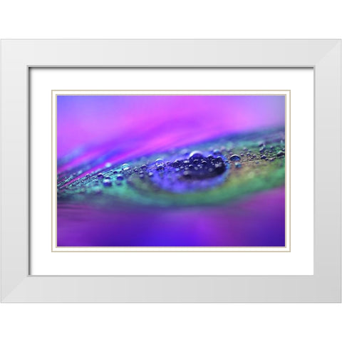 Peacock Diamonds White Modern Wood Framed Art Print with Double Matting by Jenny Rainbow Fine Art