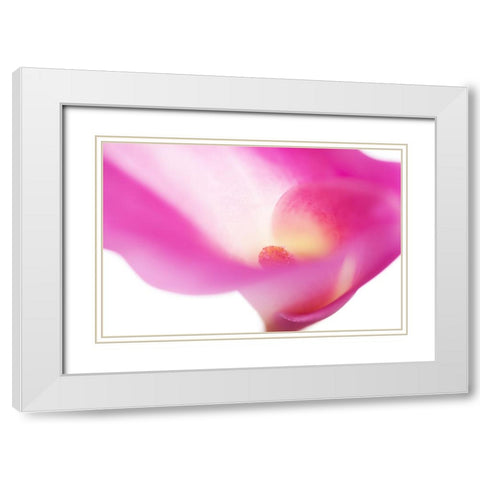Pink Veil White Modern Wood Framed Art Print with Double Matting by Jenny Rainbow Fine Art