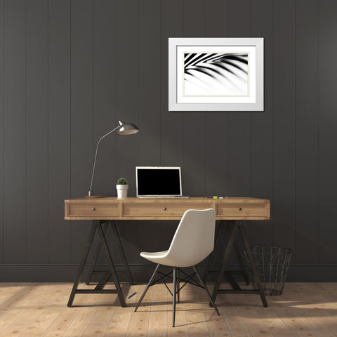 Shadow Palm Leaf White Modern Wood Framed Art Print with Double Matting by Jenny Rainbow Fine Art