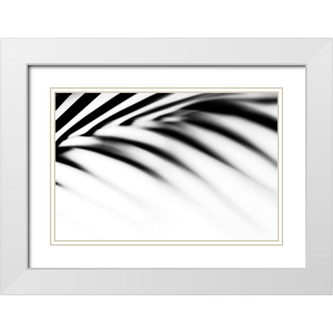 Shadow Palm Leaf White Modern Wood Framed Art Print with Double Matting by Jenny Rainbow Fine Art