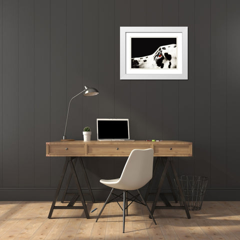 The Amber Eye of Dalmatian Dog White Modern Wood Framed Art Print with Double Matting by Jenny Rainbow Fine Art