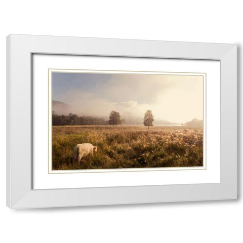 Dreamy Fields White Modern Wood Framed Art Print with Double Matting by Jenny Rainbow Fine Art