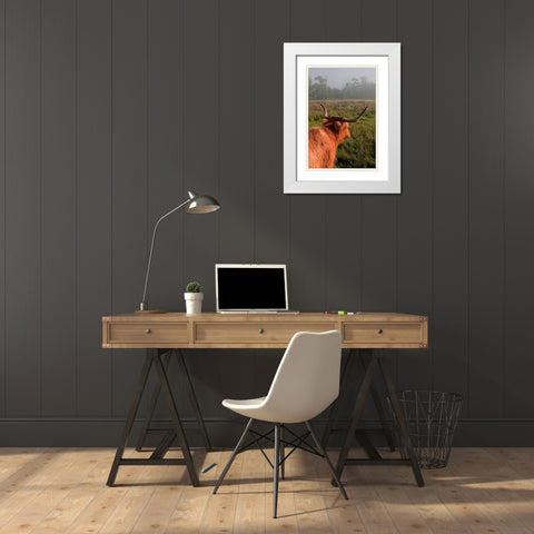 Highland Cow White Modern Wood Framed Art Print with Double Matting by Jenny Rainbow Fine Art