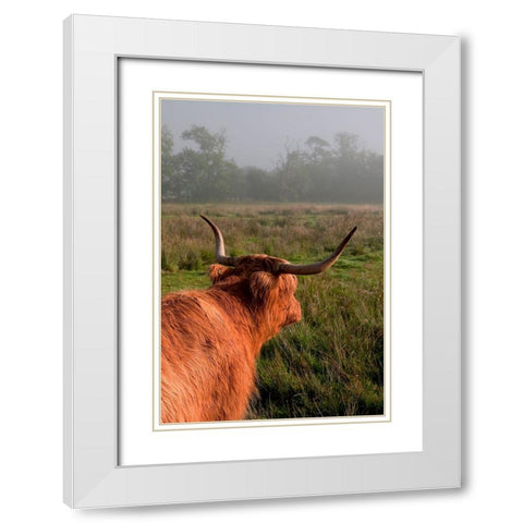 Highland Cow White Modern Wood Framed Art Print with Double Matting by Jenny Rainbow Fine Art