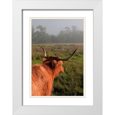 Highland Cow White Modern Wood Framed Art Print with Double Matting by Jenny Rainbow Fine Art