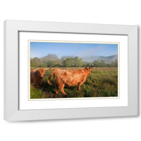 Rural Idyll White Modern Wood Framed Art Print with Double Matting by Jenny Rainbow Fine Art