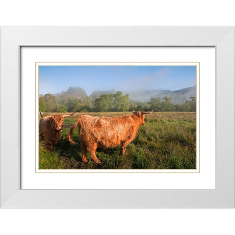 Rural Idyll White Modern Wood Framed Art Print with Double Matting by Jenny Rainbow Fine Art