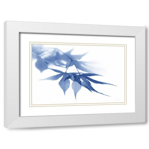 Blue Leaves 1 White Modern Wood Framed Art Print with Double Matting by Schell, Jennie Marie