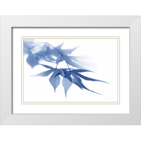 Blue Leaves 1 White Modern Wood Framed Art Print with Double Matting by Schell, Jennie Marie