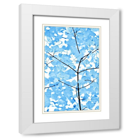 Blue Leaves 3 White Modern Wood Framed Art Print with Double Matting by Schell, Jennie Marie
