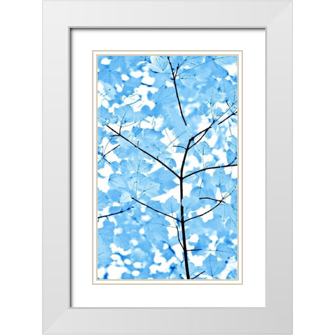 Blue Leaves 3 White Modern Wood Framed Art Print with Double Matting by Schell, Jennie Marie