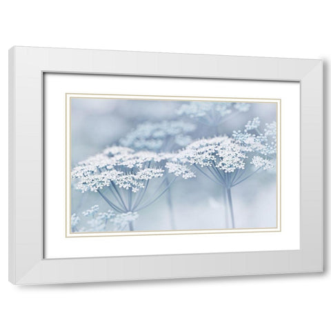 Blue Wildflowers White Modern Wood Framed Art Print with Double Matting by Schell, Jennie Marie