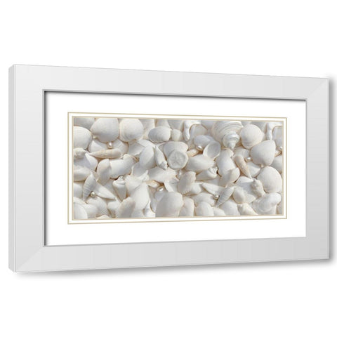 Seashells 2 White Modern Wood Framed Art Print with Double Matting by Schell, Jennie Marie