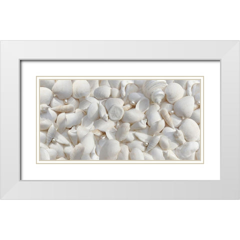 Seashells 2 White Modern Wood Framed Art Print with Double Matting by Schell, Jennie Marie