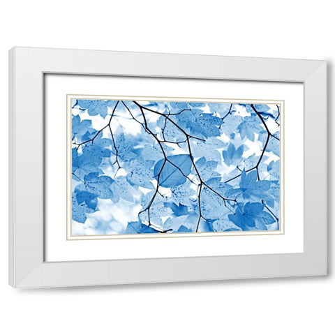 Blue Leaves 4 White Modern Wood Framed Art Print with Double Matting by Schell, Jennie Marie