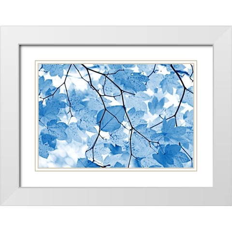 Blue Leaves 4 White Modern Wood Framed Art Print with Double Matting by Schell, Jennie Marie