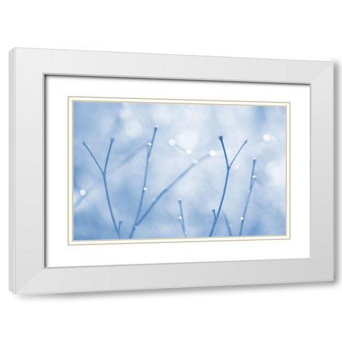 Blue Twigs Abstract White Modern Wood Framed Art Print with Double Matting by Schell, Jennie Marie