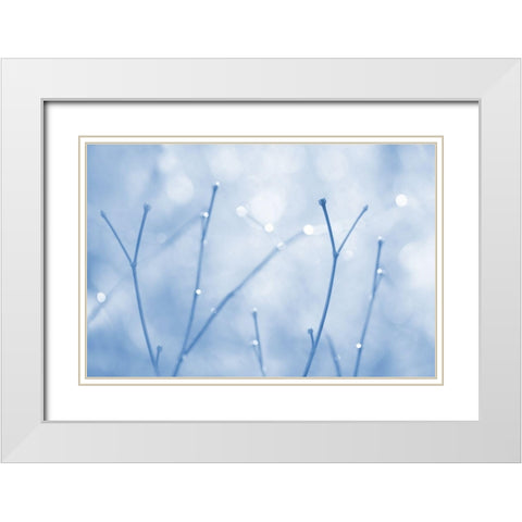 Blue Twigs Abstract White Modern Wood Framed Art Print with Double Matting by Schell, Jennie Marie