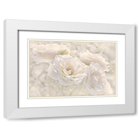 Rose White Ivory 9 White Modern Wood Framed Art Print with Double Matting by Schell, Jennie Marie