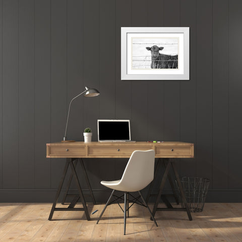 Calf Gaze Black And White White Modern Wood Framed Art Print with Double Matting by Schell, Jennie Marie
