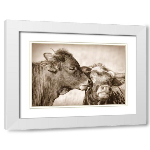 Calf Kiss Sepia White Modern Wood Framed Art Print with Double Matting by Schell, Jennie Marie