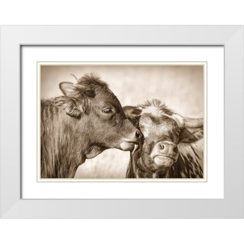 Calf Kiss Sepia White Modern Wood Framed Art Print with Double Matting by Schell, Jennie Marie