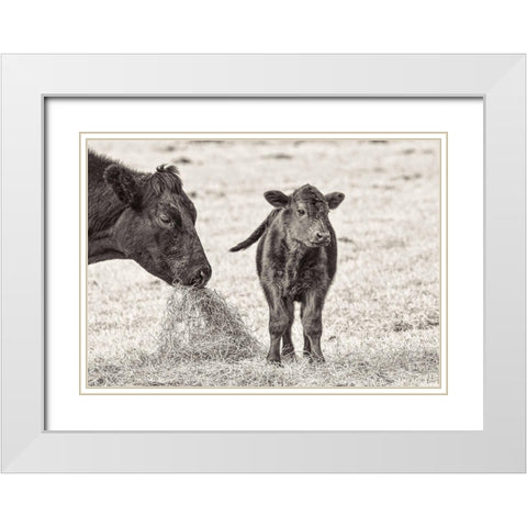 Cow and Calf Sepia White Modern Wood Framed Art Print with Double Matting by Schell, Jennie Marie
