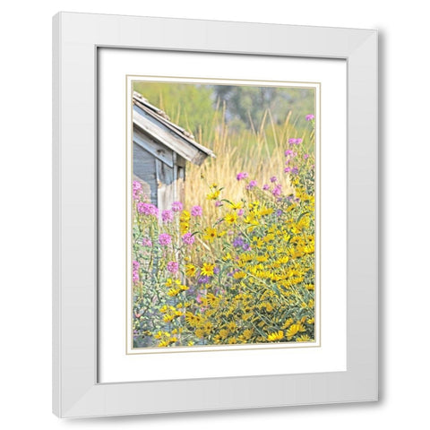 Wildflowers By Shack White Modern Wood Framed Art Print with Double Matting by Schell, Jennie Marie