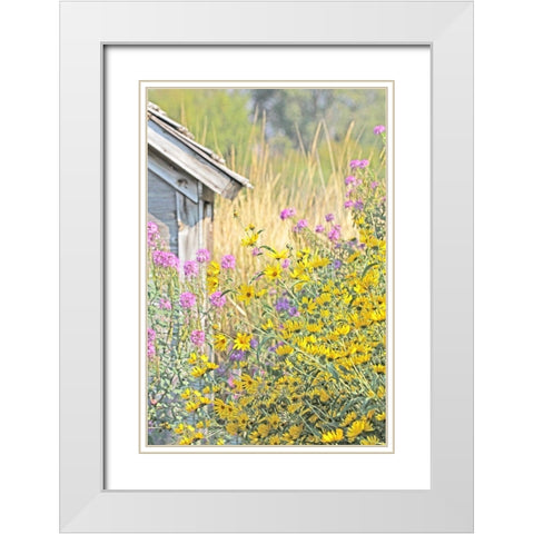 Wildflowers By Shack White Modern Wood Framed Art Print with Double Matting by Schell, Jennie Marie