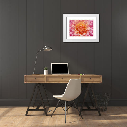 Pink Dahlia Flower White Modern Wood Framed Art Print with Double Matting by Schell, Jennie Marie