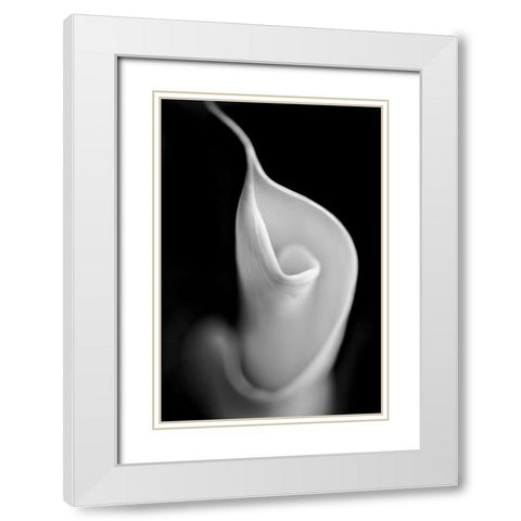 Calla Lily Flower Macro Black and White White Modern Wood Framed Art Print with Double Matting by Schell, Jennie Marie