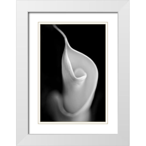 Calla Lily Flower Macro Black and White White Modern Wood Framed Art Print with Double Matting by Schell, Jennie Marie