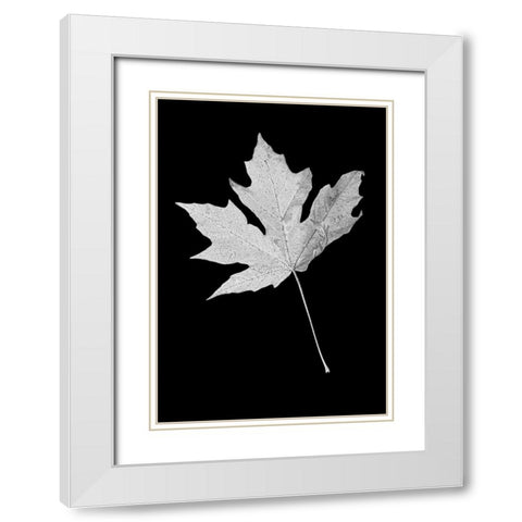 Leaf Black and White 1 White Modern Wood Framed Art Print with Double Matting by Schell, Jennie Marie