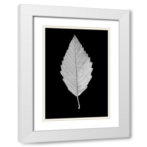 Leaf Black and White 2 White Modern Wood Framed Art Print with Double Matting by Schell, Jennie Marie