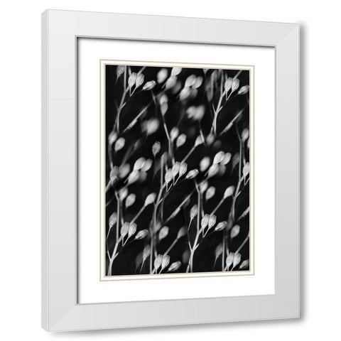 Seed Pods Abstract Black and White White Modern Wood Framed Art Print with Double Matting by Schell, Jennie Marie