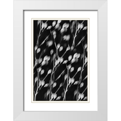 Seed Pods Abstract Black and White White Modern Wood Framed Art Print with Double Matting by Schell, Jennie Marie