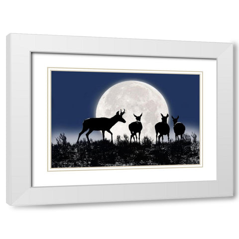 Antelope Pronghorn Silhouettes and Moon White Modern Wood Framed Art Print with Double Matting by Schell, Jennie Marie