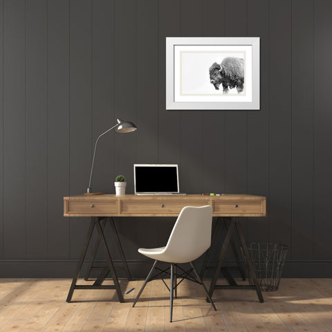 Buffalo Bison Black and White White Modern Wood Framed Art Print with Double Matting by Schell, Jennie Marie