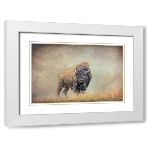 Buffalo Bison on Hill White Modern Wood Framed Art Print with Double Matting by Schell, Jennie Marie