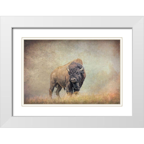 Buffalo Bison on Hill White Modern Wood Framed Art Print with Double Matting by Schell, Jennie Marie