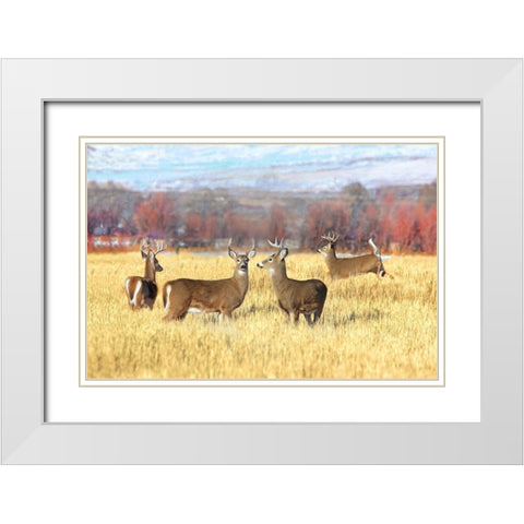 Deer Bucks in Autumn Field White Modern Wood Framed Art Print with Double Matting by Schell, Jennie Marie